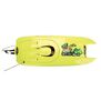 Miss Geico 29 BL Catamaran 2.4 RTR
